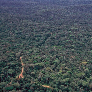 Exploitation-900x900