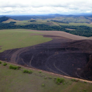 josh-ponté-306lopé-900x900