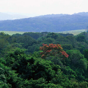 lpe-rr-S_10821_04-900x900