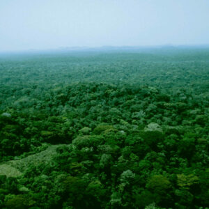 minkebe-au-gabon-900x900