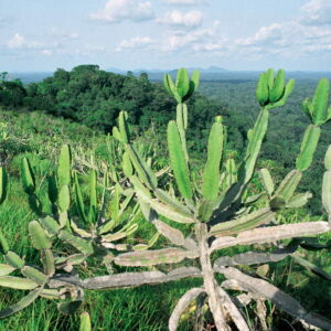 mkb-cw-cw_inselb1873_22a-840x840