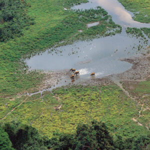 savanes-du-gabon-900x900